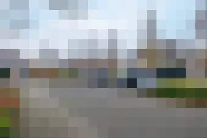 Koolmees 38 IJsselmuiden thumbnail 42