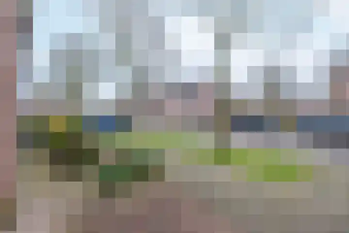 Koolmees 38 IJsselmuiden thumbnail 43