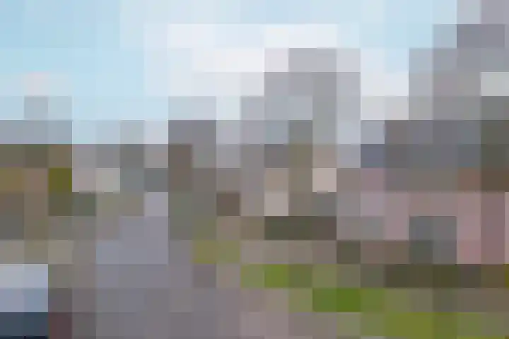 Koolmees 38 IJsselmuiden thumbnail 45