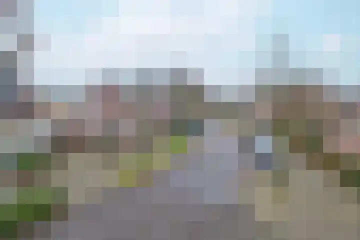 Koolmees 38 IJsselmuiden thumbnail 46
