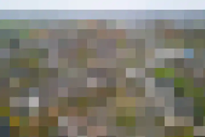 Koolmees 38 IJsselmuiden thumbnail 49