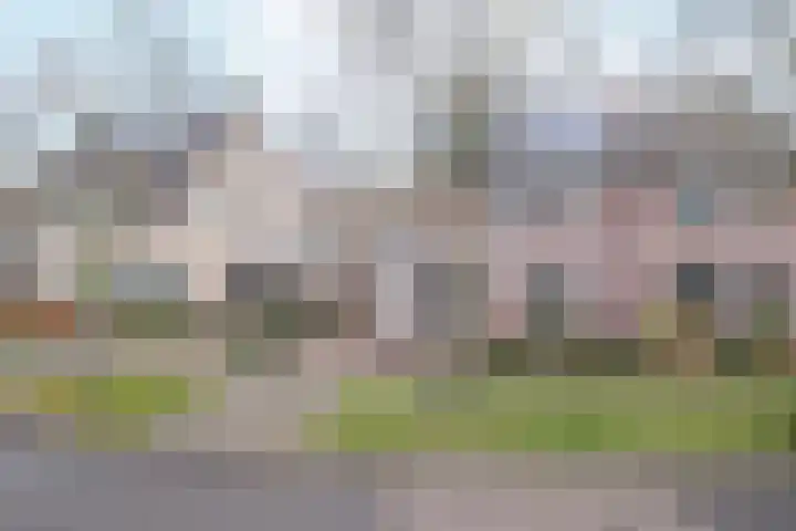 Koolmees 38 IJsselmuiden thumbnail 50
