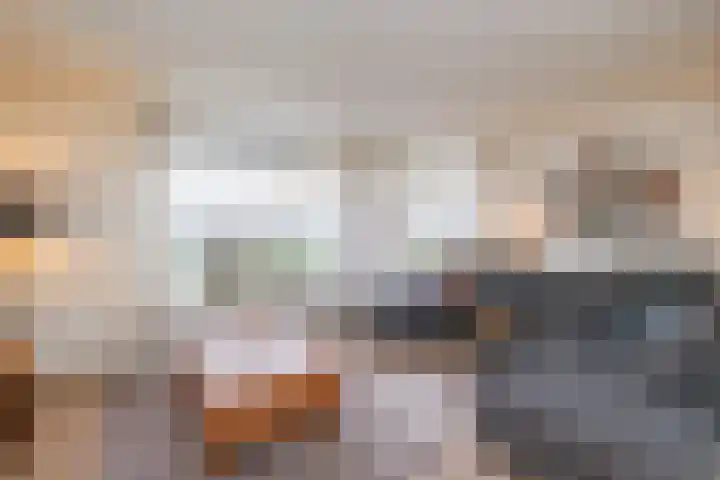 Koolmees 38 IJsselmuiden thumbnail 9