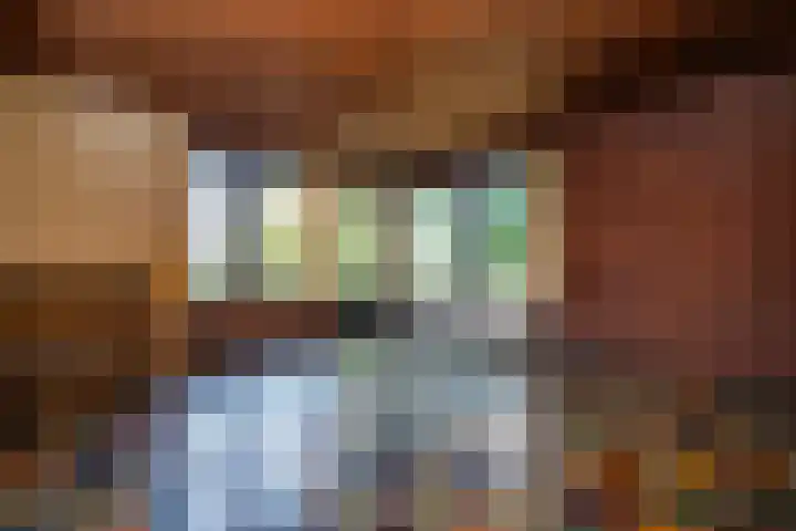Koolmees 41 Sommelsdijk thumbnail 10