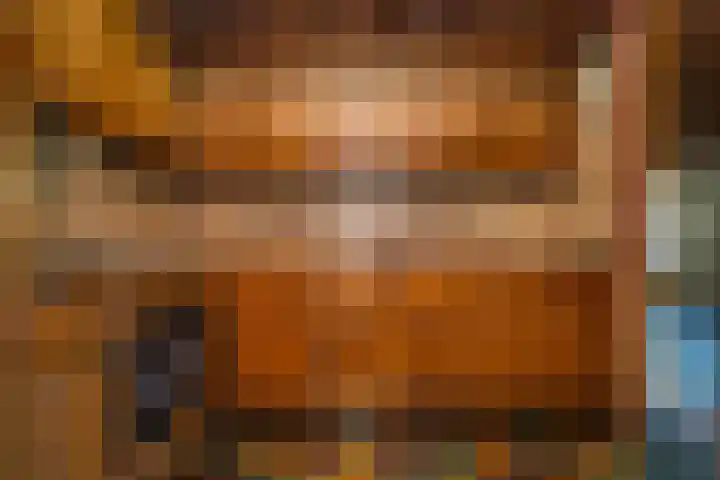 Koolmees 41 Sommelsdijk thumbnail 12