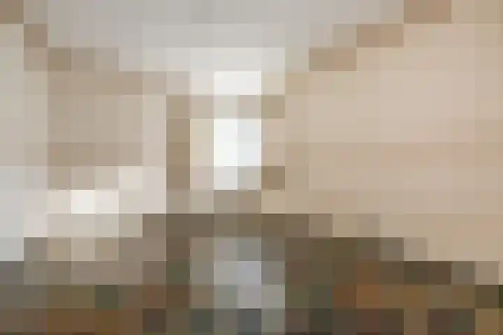 Koolmees 41 Sommelsdijk thumbnail 13