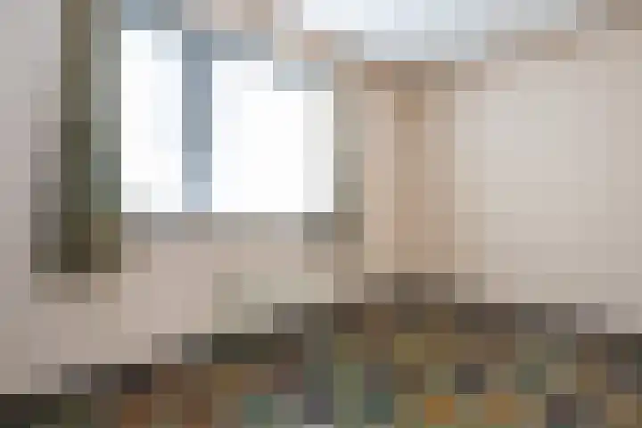 Koolmees 41 Sommelsdijk thumbnail 14