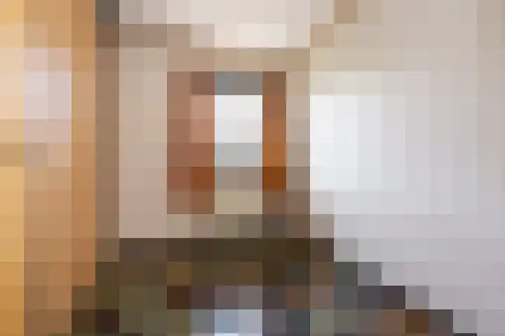Koolmees 41 Sommelsdijk thumbnail 15