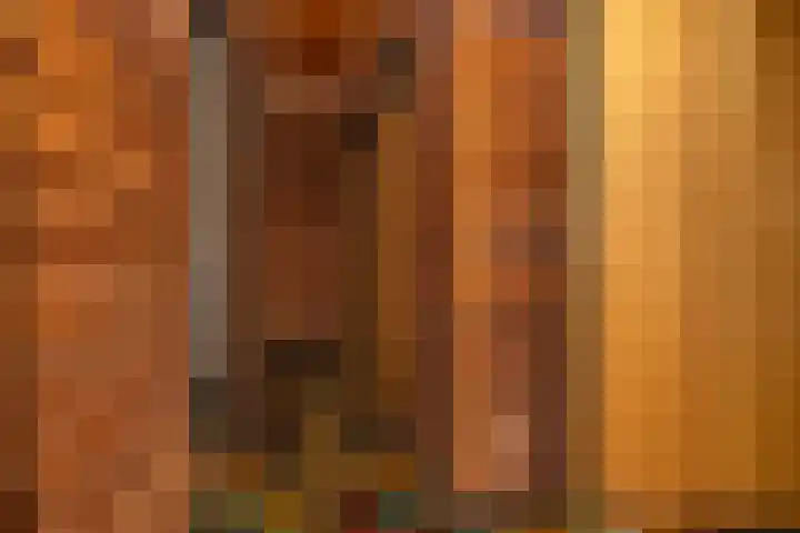 Koolmees 41 Sommelsdijk thumbnail 18