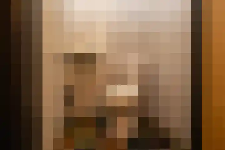 Koolmees 41 Sommelsdijk thumbnail 19