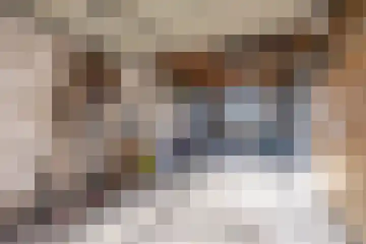 Koolmees 41 Sommelsdijk thumbnail 20