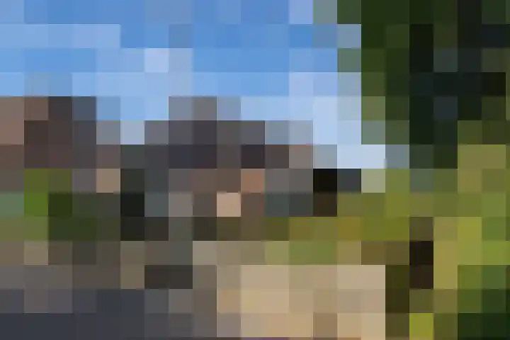 Koolmees 41 Sommelsdijk thumbnail 21