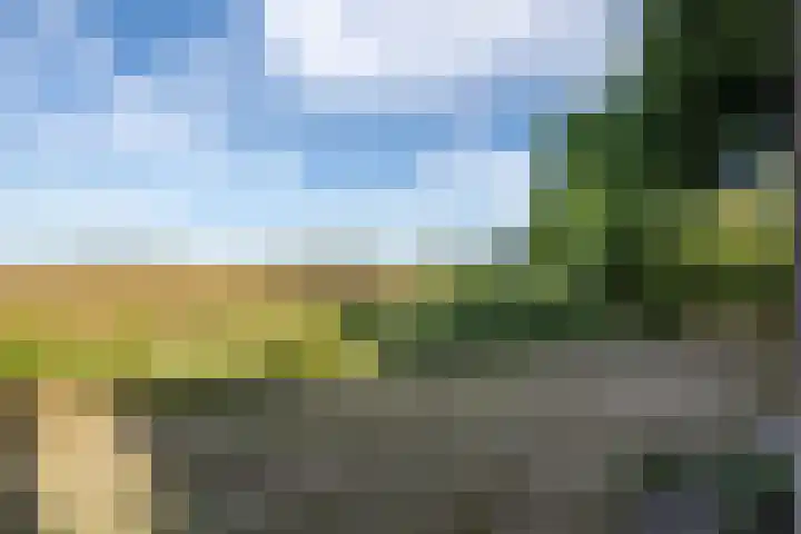 Koolmees 41 Sommelsdijk thumbnail 23