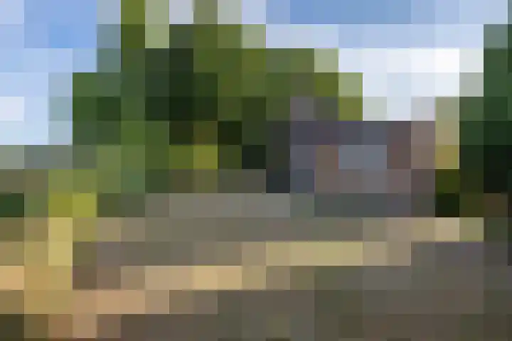 Koolmees 41 Sommelsdijk thumbnail 24