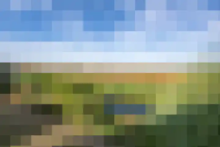 Koolmees 41 Sommelsdijk thumbnail 25