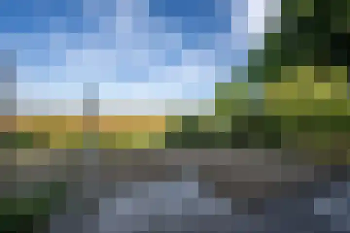 Koolmees 41 Sommelsdijk thumbnail 26