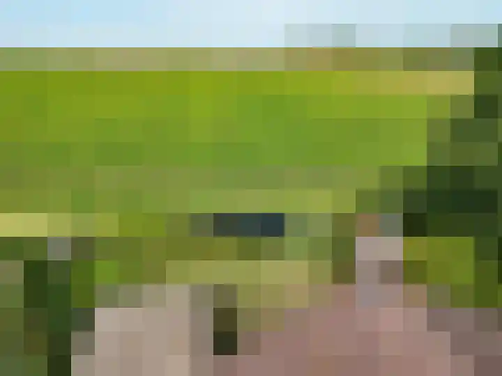 Koolmees 41 Sommelsdijk thumbnail 27
