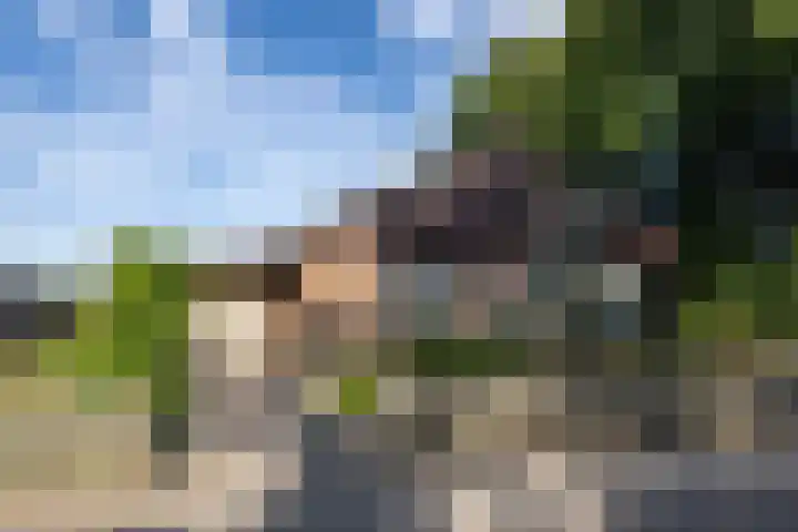 Koolmees 41 Sommelsdijk thumbnail 28
