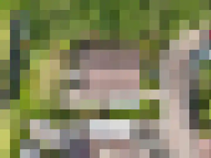 Koolmees 41 Sommelsdijk thumbnail 29