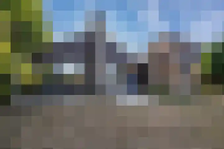 Koolmees 41 Sommelsdijk foto 3