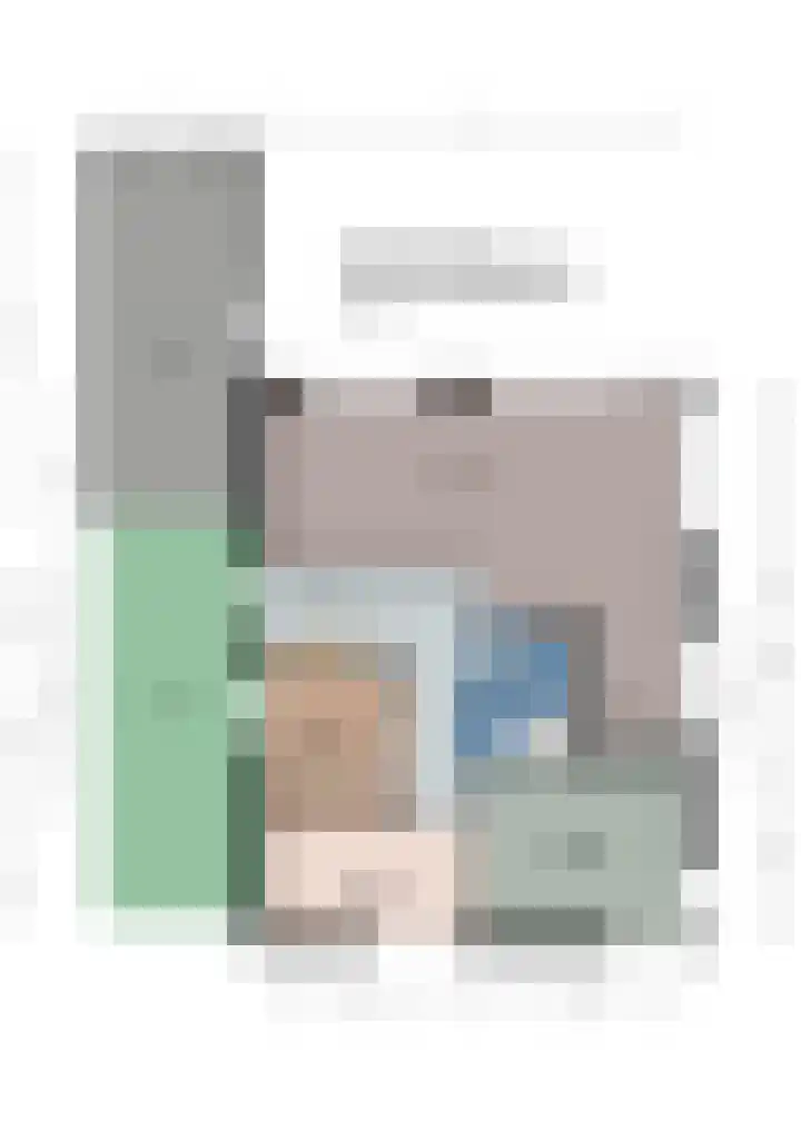 Koolmees 41 Sommelsdijk thumbnail 30