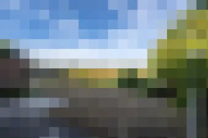 Koolmees 41 Sommelsdijk thumbnail 4