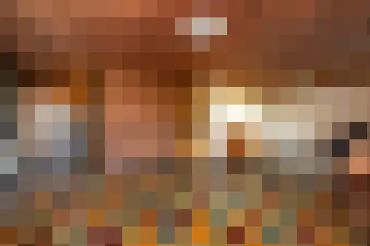 Koolmees 41 Sommelsdijk thumbnail 7