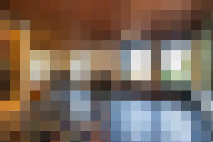 Koolmees 41 Sommelsdijk thumbnail 8
