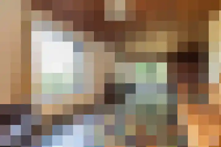 Koolmees 41 Sommelsdijk thumbnail 9