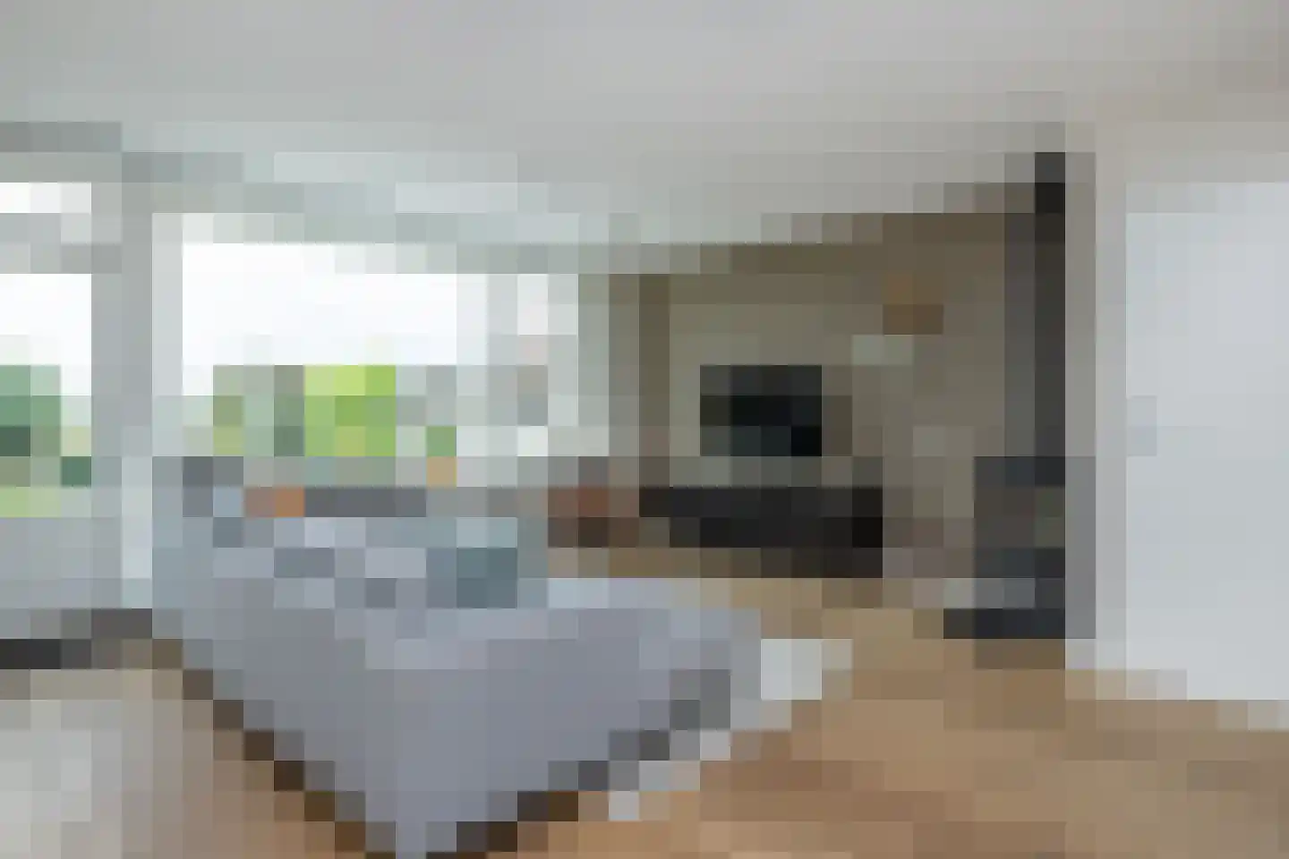 Koolmees 47 Sommelsdijk thumbnail 10