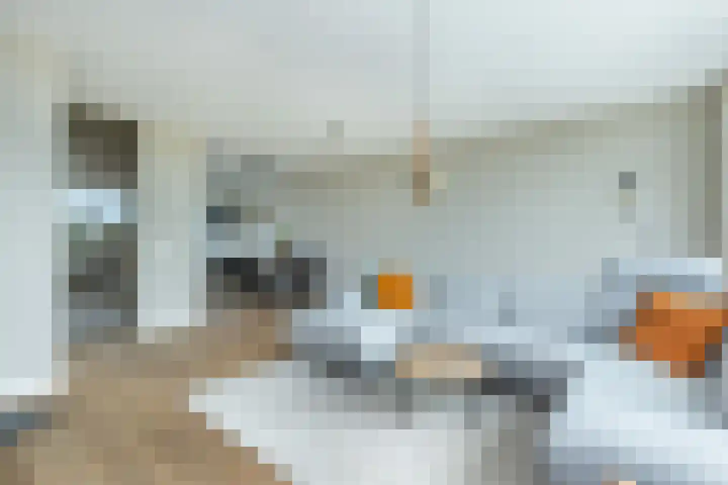 Koolmees 47 Sommelsdijk thumbnail 11