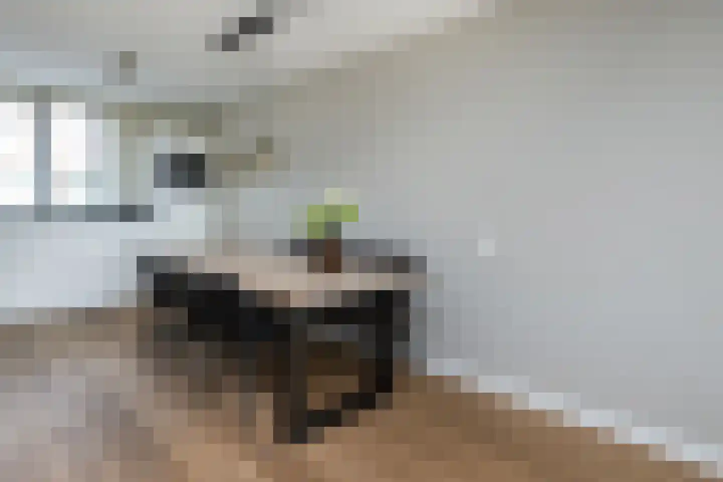 Koolmees 47 Sommelsdijk thumbnail 12