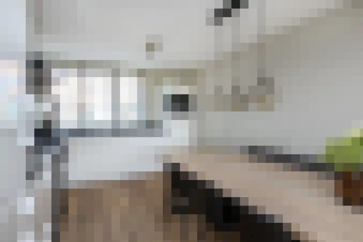 Koolmees 47 Sommelsdijk thumbnail 13