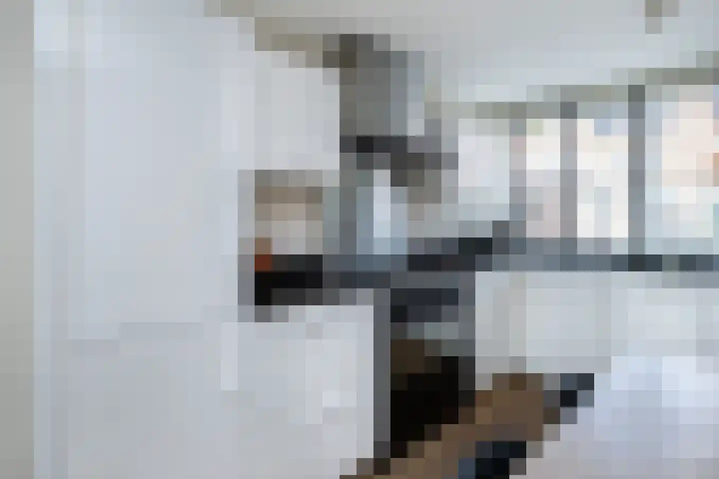 Koolmees 47 Sommelsdijk thumbnail 15