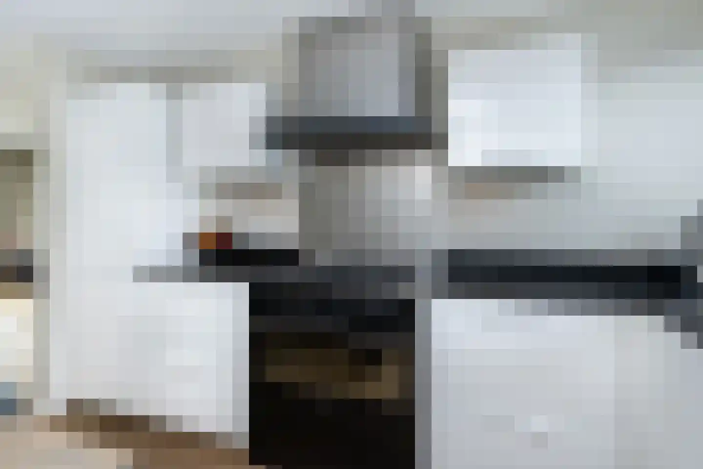 Koolmees 47 Sommelsdijk thumbnail 16