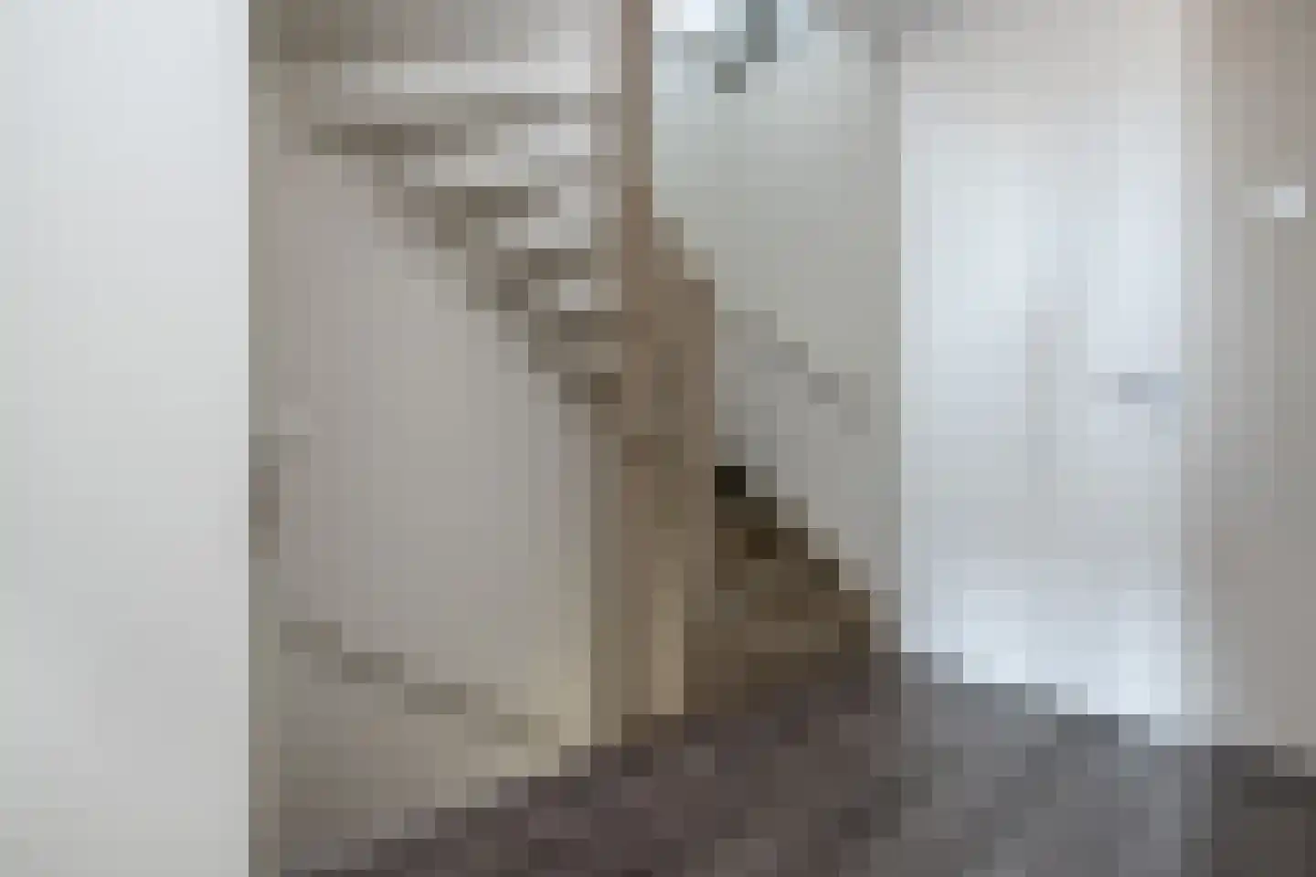 Koolmees 47 Sommelsdijk thumbnail 17