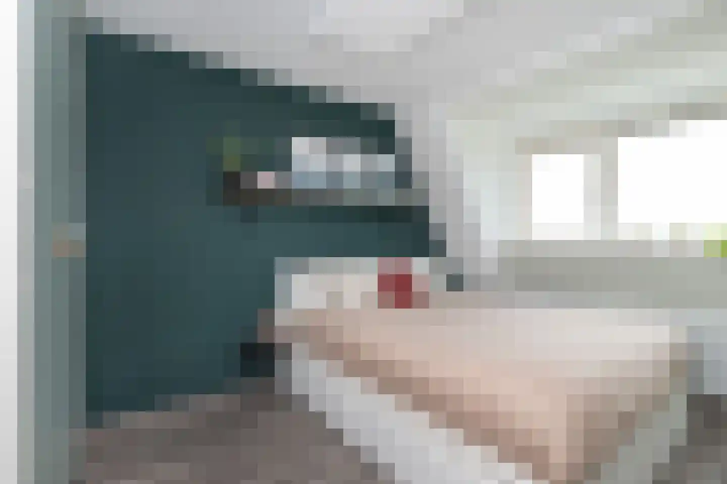 Koolmees 47 Sommelsdijk thumbnail 18