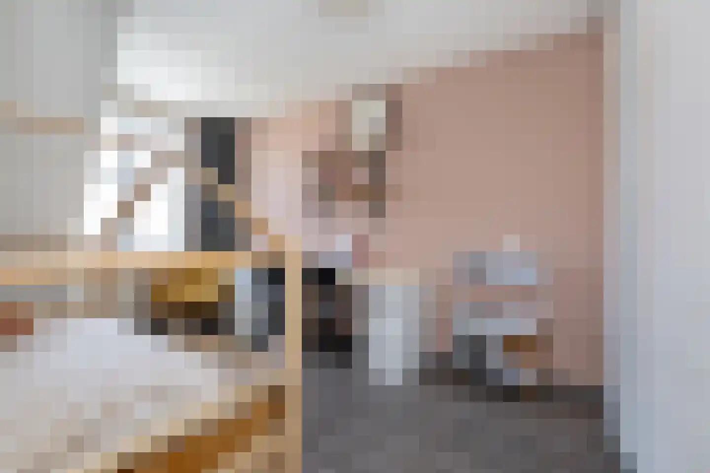 Koolmees 47 Sommelsdijk thumbnail 20