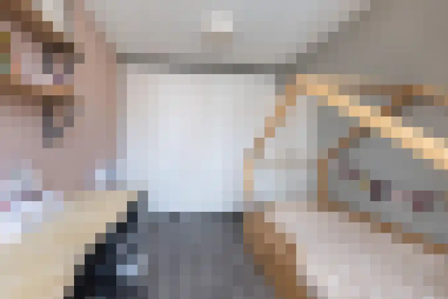 Koolmees 47 Sommelsdijk thumbnail 22