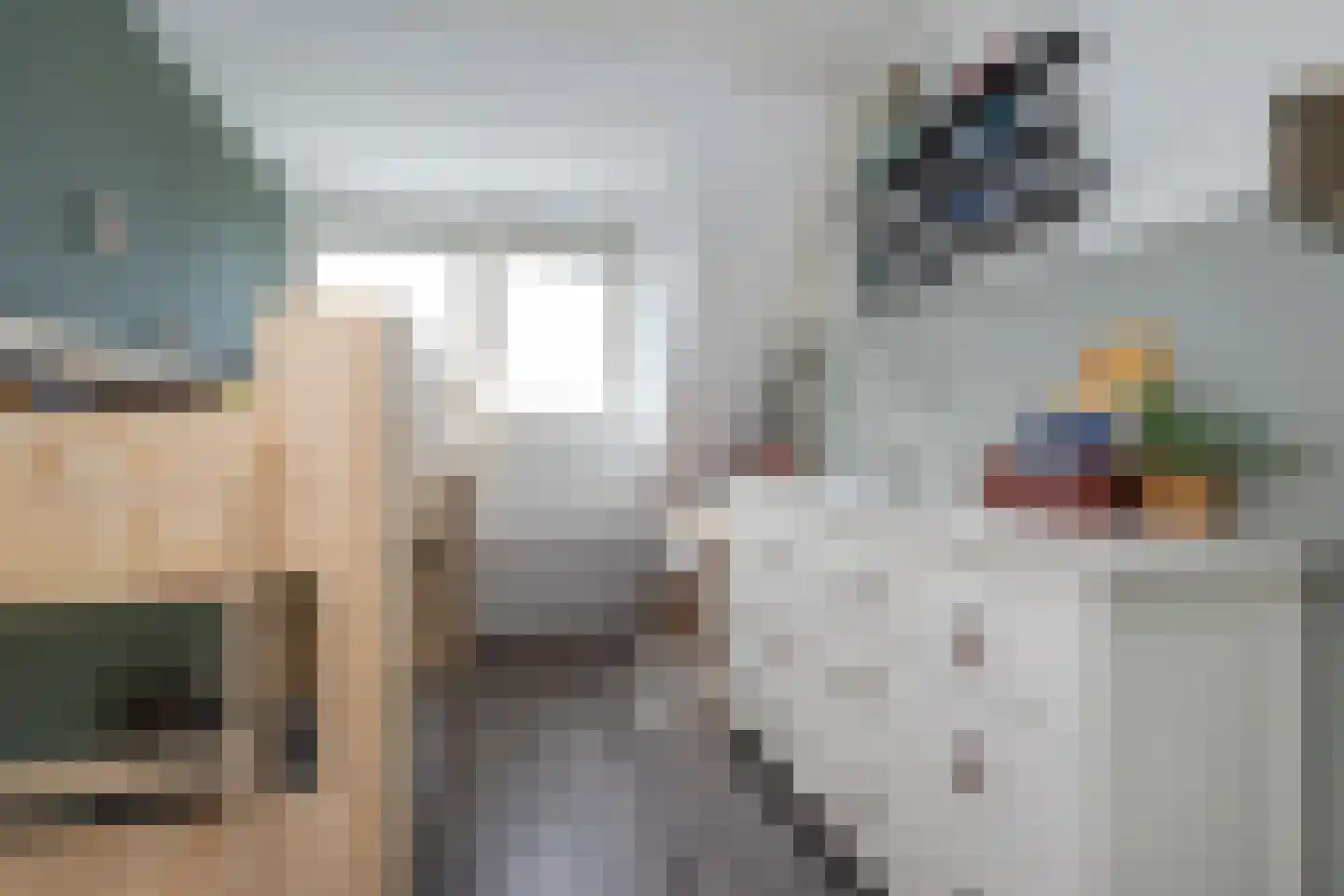 Koolmees 47 Sommelsdijk thumbnail 23