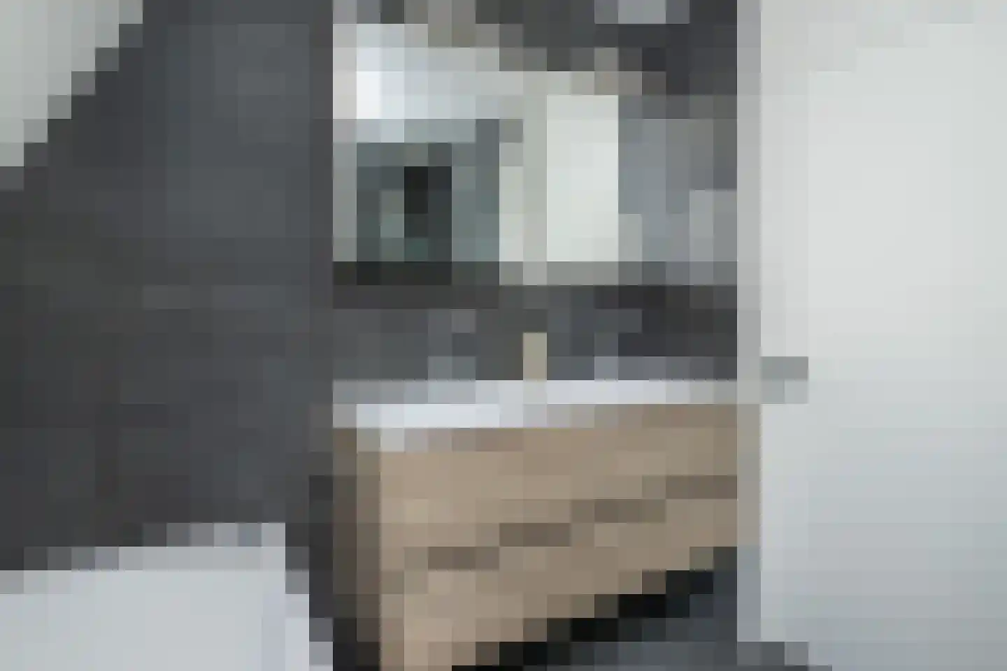 Koolmees 47 Sommelsdijk thumbnail 26