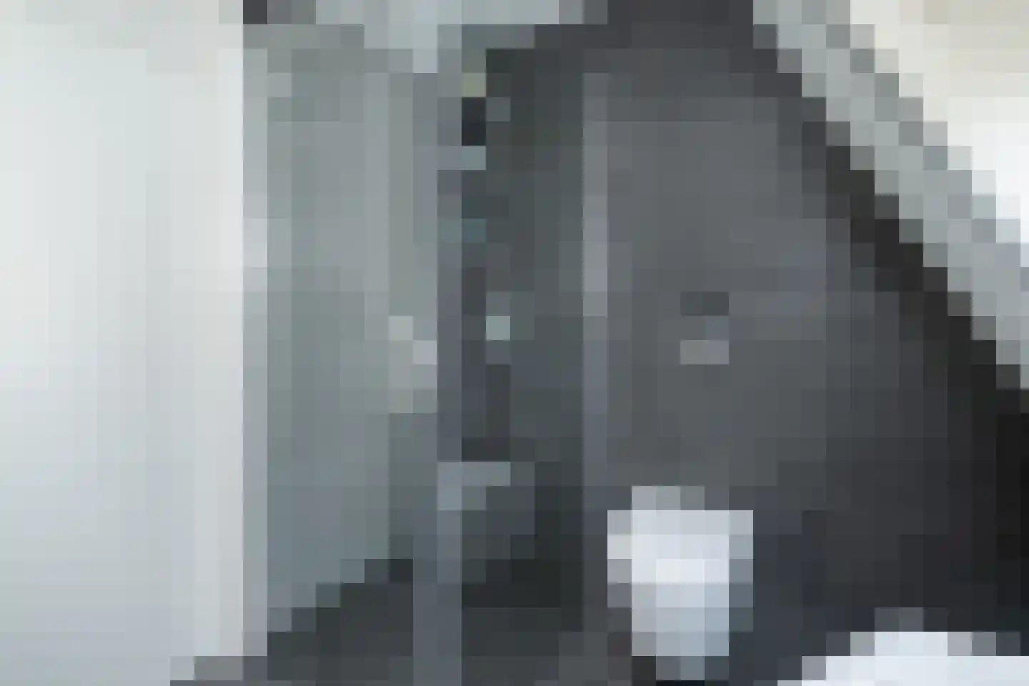 Koolmees 47 Sommelsdijk thumbnail 27