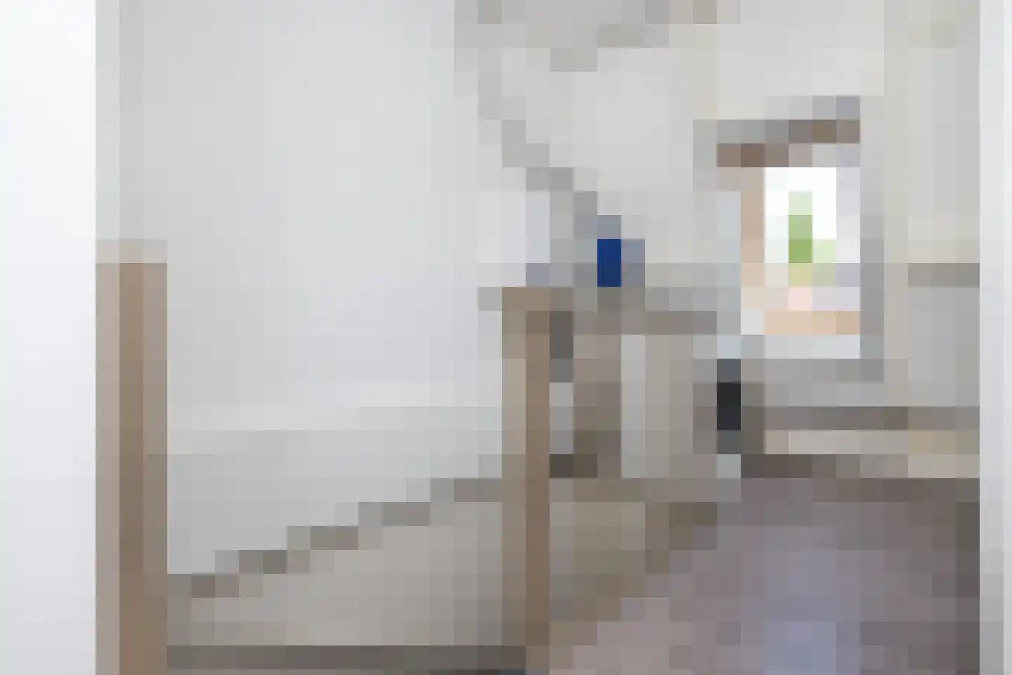 Koolmees 47 Sommelsdijk thumbnail 28