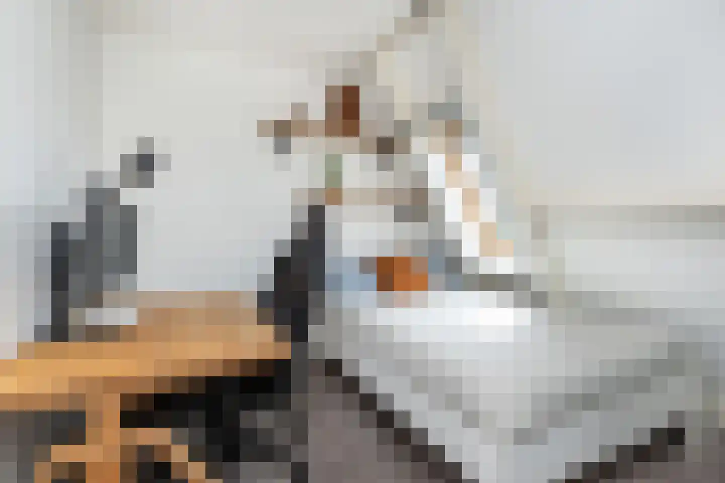 Koolmees 47 Sommelsdijk thumbnail 29