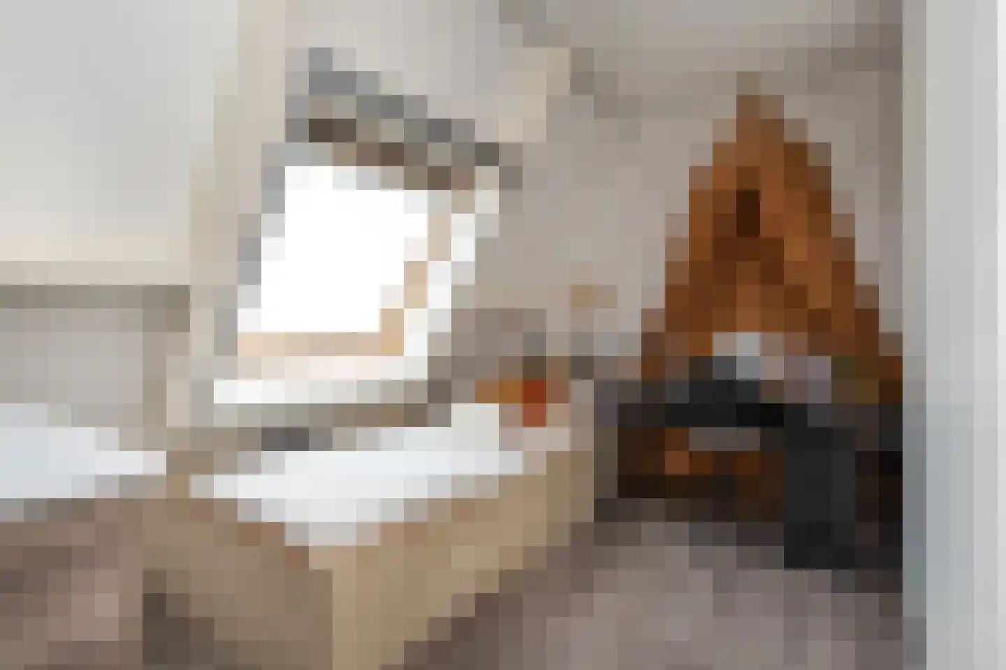 Koolmees 47 Sommelsdijk thumbnail 30