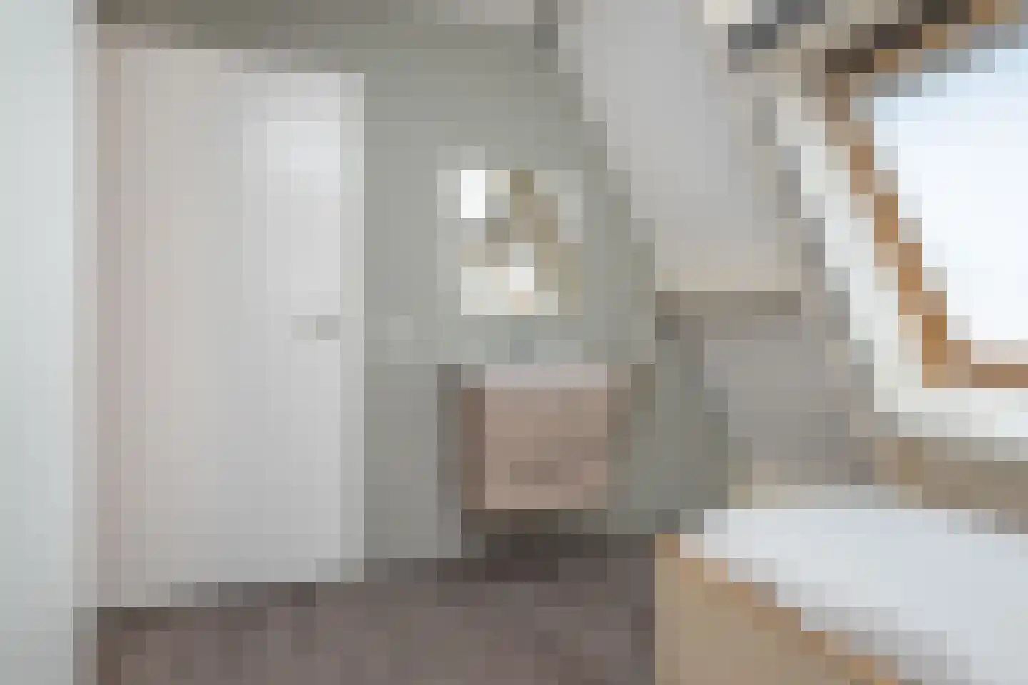 Koolmees 47 Sommelsdijk thumbnail 31