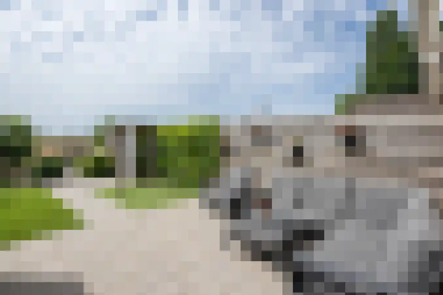 Koolmees 47 Sommelsdijk thumbnail 32
