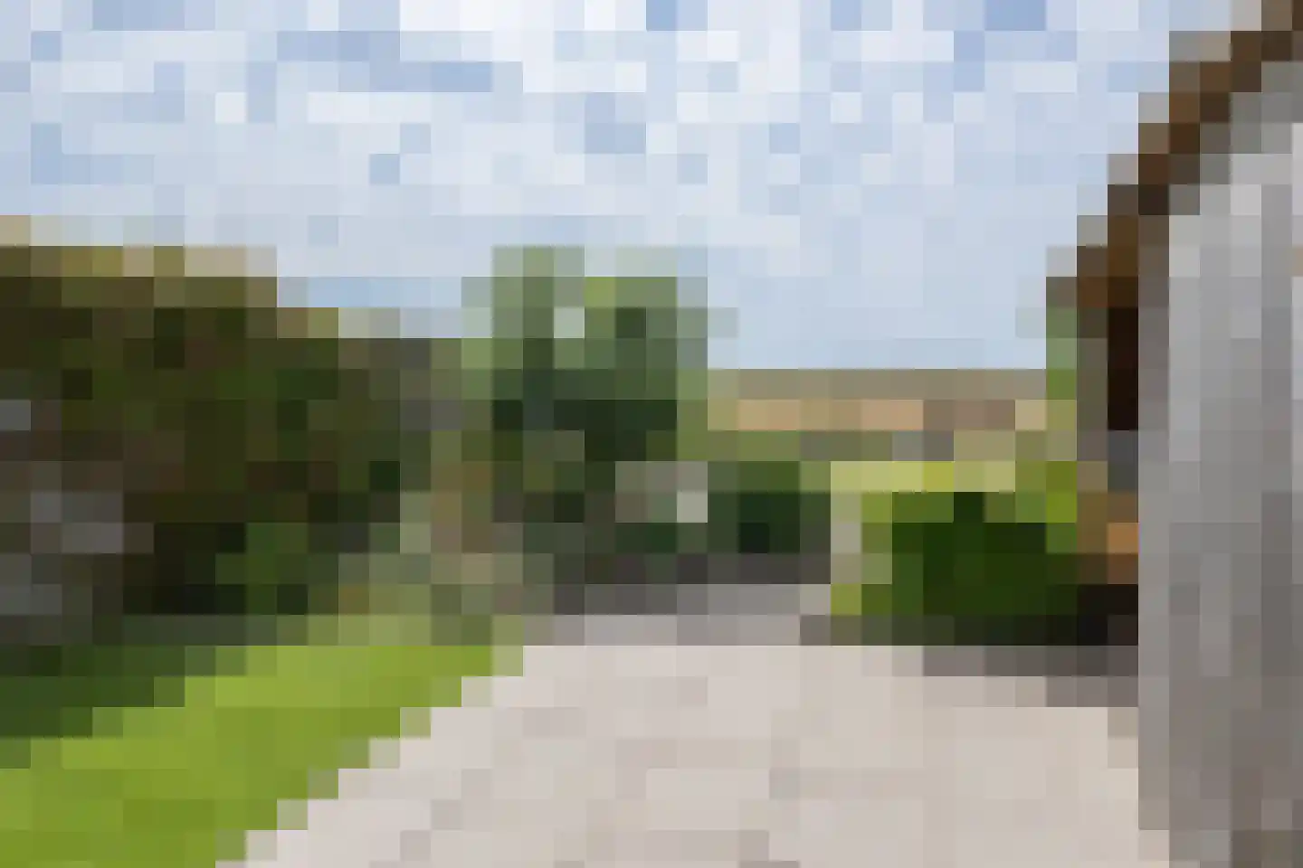 Koolmees 47 Sommelsdijk thumbnail 36