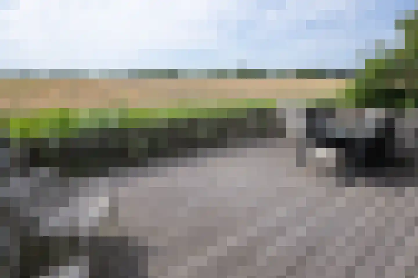 Koolmees 47 Sommelsdijk thumbnail 37