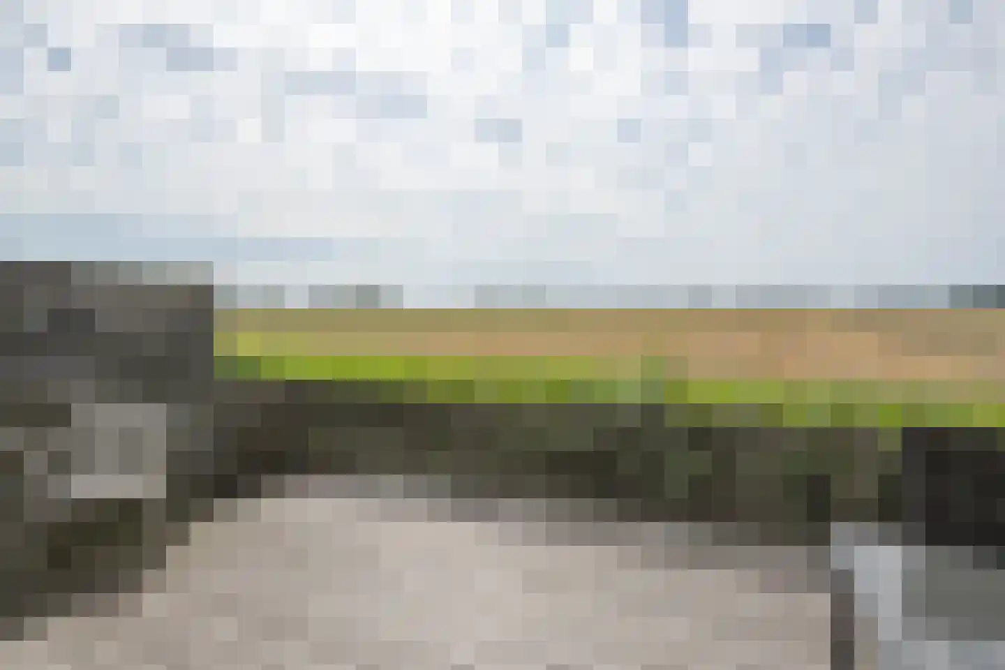 Koolmees 47 Sommelsdijk thumbnail 38